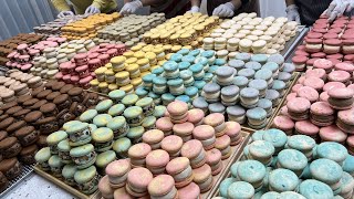 Amazing macaron mass production Top 5 Delicious Korean Macarons Collection  Korean street food [upl. by Wait]