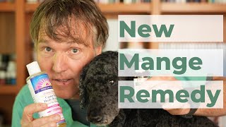 How to Treat Mange in Dogs at Home [upl. by Kaden]