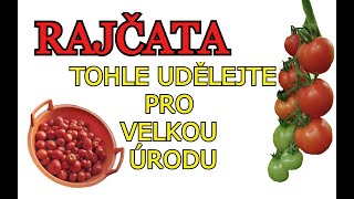 RAJČATA  PĚSTOVÁNÍ RAJČAT  Tohle musíte udělat abyste měli velkou úrodu [upl. by Moran]