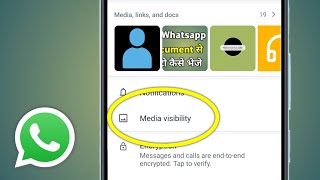 Media Visibility In Whatsapp  Whatsapp Media Visibility Kya Hai [upl. by Neraj]