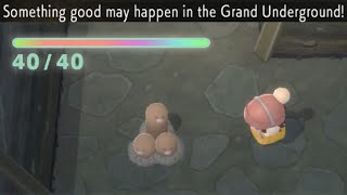 What Happens When You Collect 40 Diglett in Pokémon Brilliant Diamond [upl. by Adnamahs854]