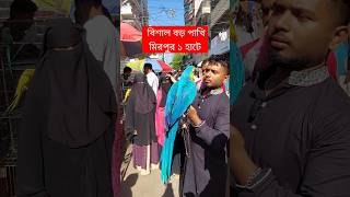 বিশাল বড় পাখি মিরপুর ১ হাটে  Mirpur 1 Pakhir Hat  Pakhi  পাখি  Tiya Pakhi  টিয়া পাখি shorts [upl. by Andrew282]