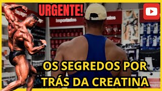 CREATINA  APRENDA ESCOLHER QUAL COMPRAR  BRUNO WENDER [upl. by Ahsert593]