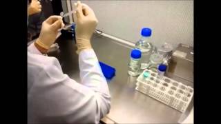 Plant Tissue Culture Techniques [upl. by Ahsekram]