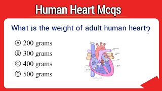 human heart mcq  heart mcq  heart mcq questions  heart related questions [upl. by Eigroeg]