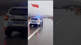 Trafiği tehlikeye sokan inek sürüsüne Trafik Polisi müdahale ediyor😊 polis police trafikpolisi [upl. by Nyrol960]