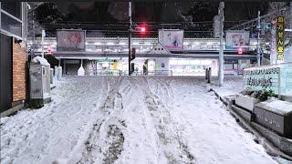 Snow in Harajuku Tokyo Japan 2024 [upl. by Samtsirhc]