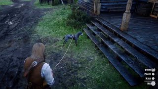 The Cute Dog Thing You Can Do In RDR2 But Cant In RDR1 [upl. by Ashbaugh]