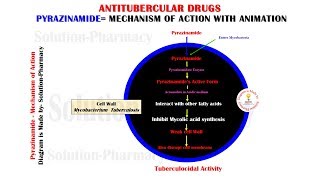 Antitubercular Drug  Pyrazinamide Mechanism of Action Animation  Anti TB Drugs  Pyrazinamide [upl. by Francesca]