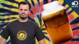 WTF Is Kombucha [upl. by O'Callaghan]