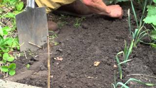 Moestuin aanleggen  Tuinieren met Hendrik Jan de Tuinman [upl. by Juback788]