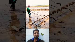 🤔விதை விதைக்க சூப்பர் ஐடியா⁉️  Super Farm Idea💯 trending seedsowing tipsandtricks ideas shorts [upl. by Alleber141]