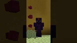 Minecraft Endermite Armor Trim minecraft shorts [upl. by Sardella243]