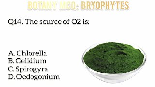 Top biology mcq practice  Bryophyta  Botany mcq  Liverworts amp mosses mcq [upl. by Ynneg]