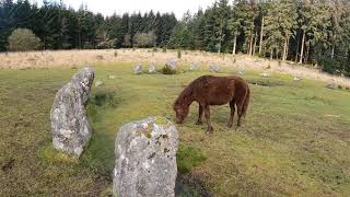 Fernworthy Stone Circle [upl. by Anyrb]