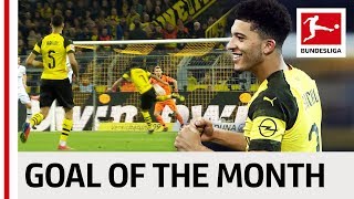 Jadon Sancho  February 2019s Goal of the Month Winner [upl. by Tija]