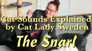 Cat Sounds Explained The Snarl [upl. by Doolittle]