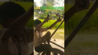 Cycle stand ker video lite video 👍👍🙏🙏🙏🙏🐪💪💪🚲🚲🚲🚲 [upl. by Sebastien]