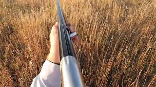 2023 South Dakota Grouse Opener [upl. by Houston891]