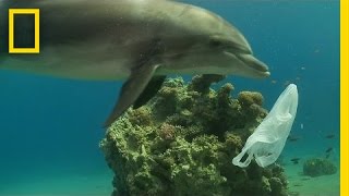 How We Can Keep Plastics Out of Our Ocean  National Geographic [upl. by Aserret]