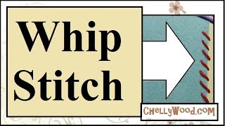 Hand Embroidery Stitch Whip Stitch Tutorial [upl. by Magda]