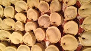 Pelmeni  Siberian Meat Dumplings [upl. by Nodal]