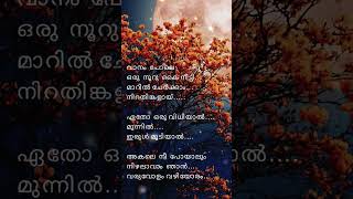 Vanam pole song lyrics 💥💛🌟💚🤎🖤💙 [upl. by Gresham626]