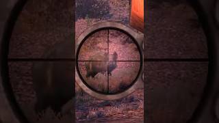 CRAZY BOAR ATTACK gaming hunterlife hunting gamingshorts funny huntlife deerhunting [upl. by Scarlet]