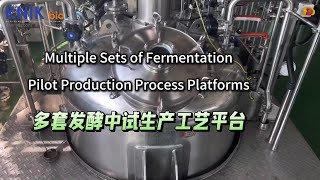 Multiple Sets of Fermentation Pilot Production Process Platforms fermenter bioreactor centrifuge [upl. by Zamora]