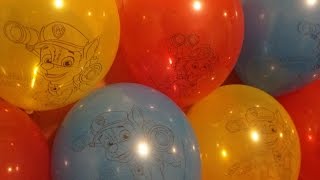 10 PAW Patrol Balloons Pop [upl. by Minsat]