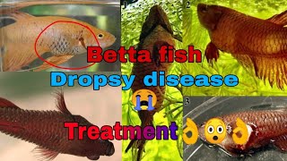 Dropsy Disease Betta Fish  Dropsy Fish Treatment and Care [upl. by Nimaynib]