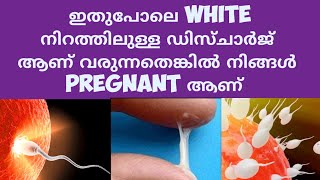 Early Pregnancy Di scharge  Deechus world Malayalam [upl. by Anirba]