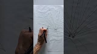 Sketching Geometries  Line Interactions art [upl. by Zampino]