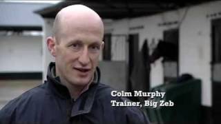 Leopardstown Christmas Festival 2011 Highlights [upl. by Letsyrc]