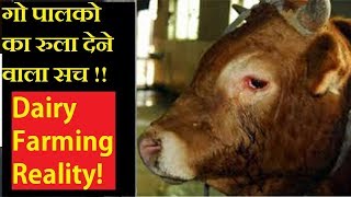 पानी के भाव बिक रहा गाय का दूध  cow palan in india  dairy farming in india hindi [upl. by Shifrah728]