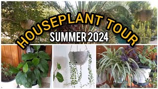 Houseplant Tour August 2024  Easy To Care For Houseplants houseplants gardening plants [upl. by Ynnaej]