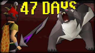 I SPENT 47 DAYS IN THE WILDERNESS  OSRS Ironman Endgame 13 [upl. by Matheny880]