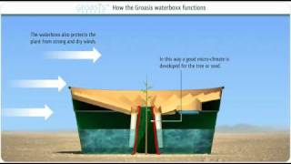 How does the Groasis Waterboxx plant cocoon work against desertification [upl. by Fulviah190]