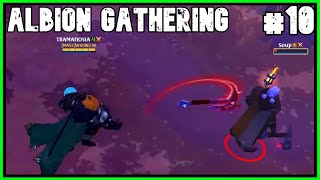 Albion Online Gathering 10 [upl. by Eldreda]