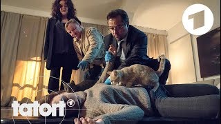 Trailer quotSchlangengrubequot  Tatort [upl. by Fabrianna]