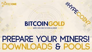 Prepare For Bitcoin Gold Mining Downloads amp Pools [upl. by Keen]