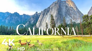 CALIFORNIA  Beautiful Places of California  4k Video HD Ultra [upl. by Artiek]