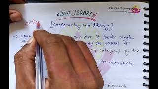 cdna library part2। cdna library construction।genomic and cdna library msc csirnet [upl. by Ramas421]