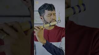 Yesuvey Neer Nalalvar  Bro Zac Rober Song  Flute Instrumental zacrobert tamilchristiansongs [upl. by Ikkela437]