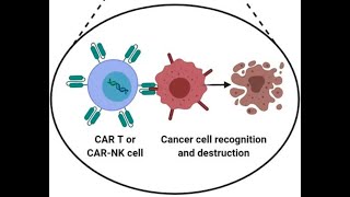 MIDTERM  Gene Therapy and Kymriah [upl. by Ybrik260]