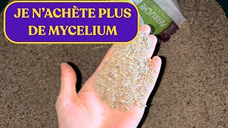 PRÉPARER MON GRAIN POUR FAIRE DU MYCÉLIUM [upl. by Trudnak]