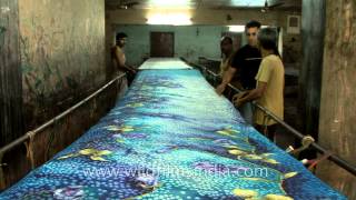 Banaras Saree handloom Factory  sneek peek [upl. by Therron]