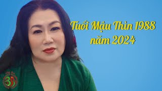 Tuổi Mậu Thìn 1988 năm 2024  Tử Vi và Tướng Số [upl. by Ennelram]