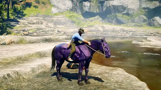 Arthur catch a Charoite Horse  Red Dead Redemption 2 Gameplay [upl. by Ardnuahs757]