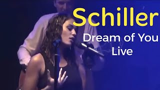 Schiller  Dream of you 2003 HD Live in Berlin [upl. by Suki]